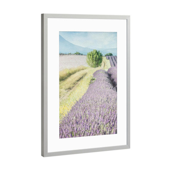 Poster mit Rahmen Silber "Lavendelfeld B" artboxONE - Natur,Floral - Felder,Blumen,Blumen,Lavendel,Natur