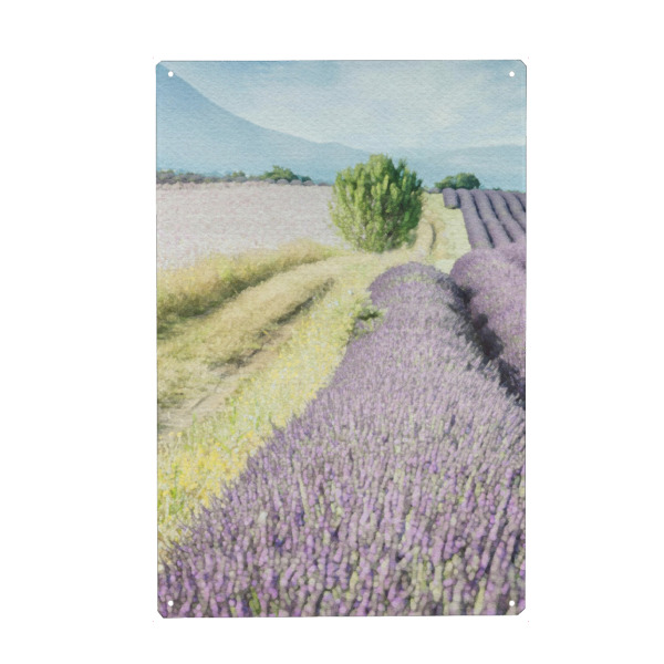Metall Poster "Lavendelfeld B" artboxONE - Natur,Floral - Felder,Blumen,Blumen,Lavendel,Natur - Blechschild