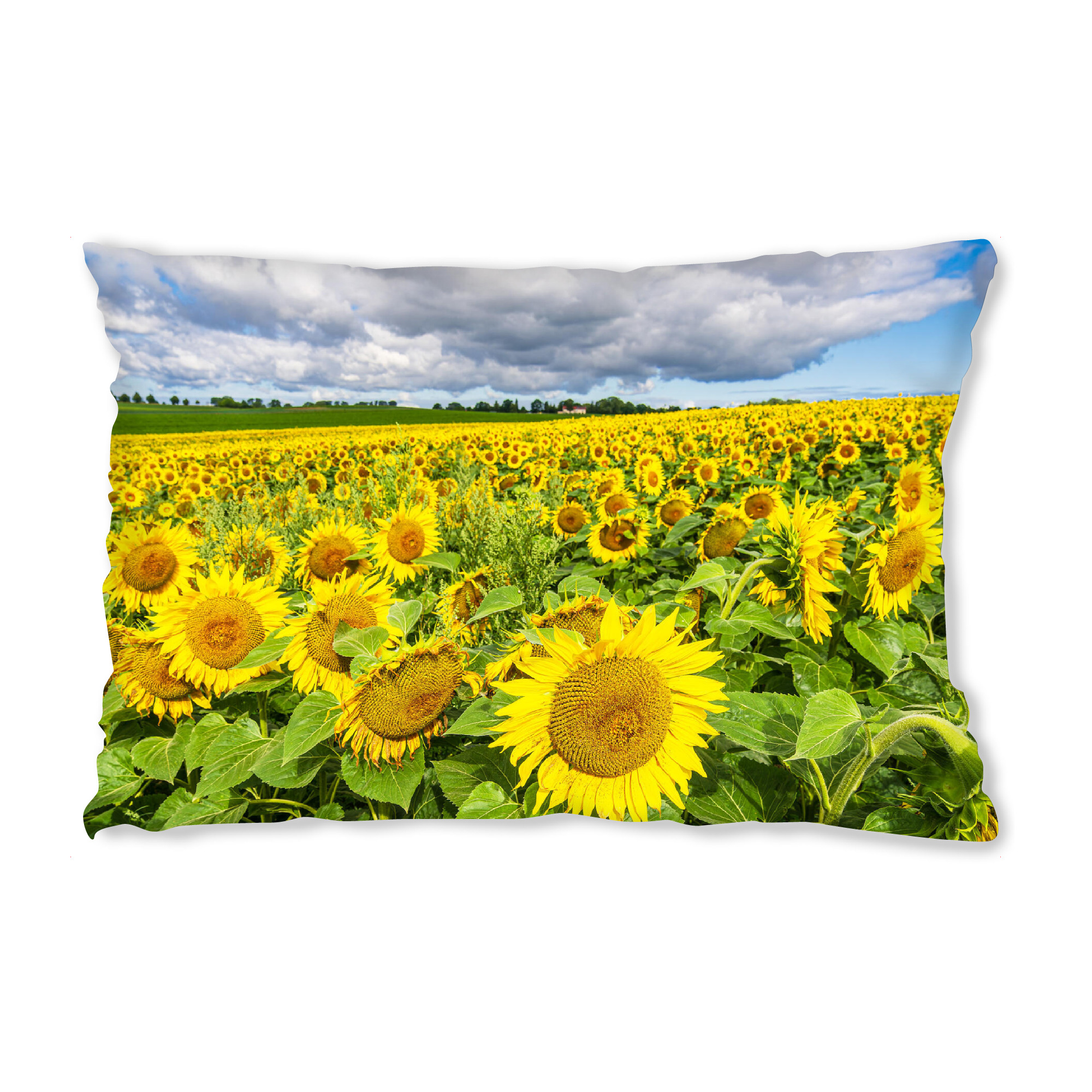Design-Kissen "Wolken, Feld, Sonnenblumen" artboxONE - Natur,Floral