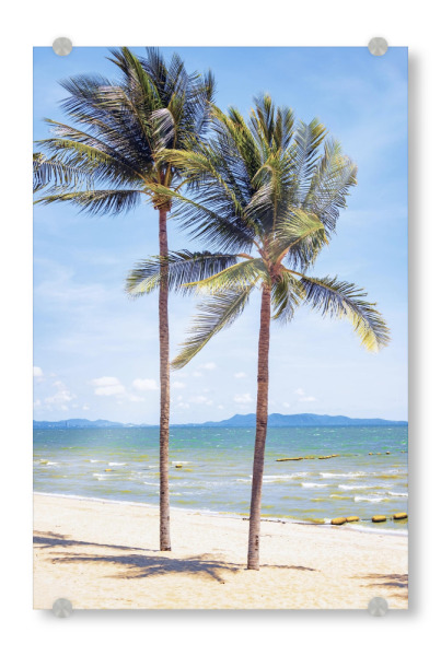 Acrylglasbild "Paar Bäume" artboxONE - Natur,Reise,Reise / Strand und Meer,Reise / Asien,Reise / Länder
