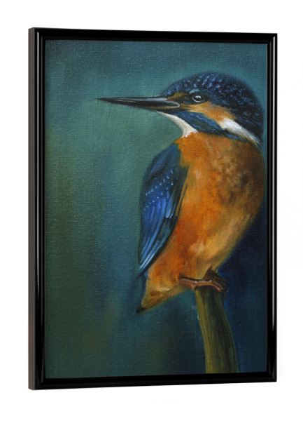 Poster mit schwarzem Rahmen "Sitzender Eisvogel" artboxONE - Tiere - Eisvogel,Tier,Vogel,Eisvögel,Sitzender vogel