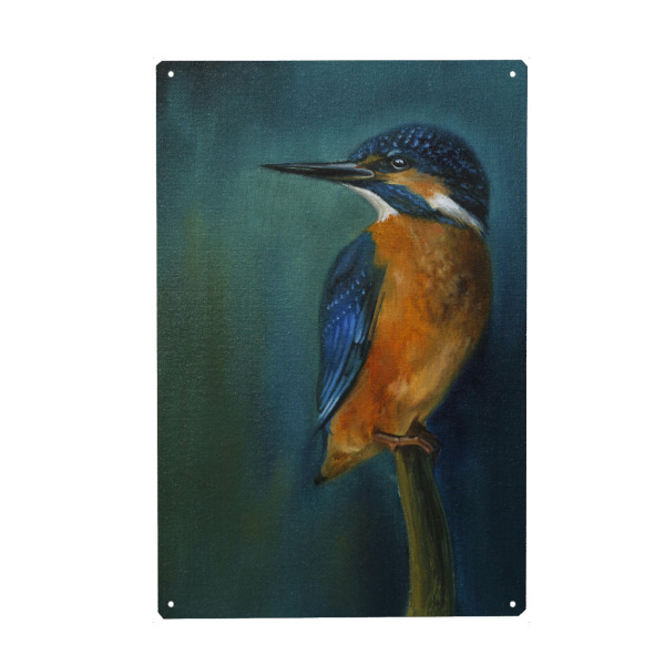 Metall Poster "Sitzender Eisvogel" artboxONE - Tiere - Eisvogel,Tier,Vogel,Eisvögel,Sitzender vogel - Blechschild