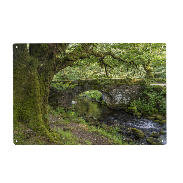 Holzbild "Brücke im Dartmoor" artboxONE - Natur,Reise - Devon,Dartmoor,Norsworthy,Meavy,Stein,Stone,Wald,Forest,England