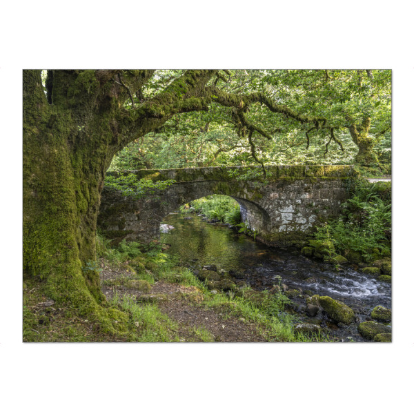 Puzzle Ravensburger "Brücke im Dartmoor" artboxONE - Natur,Reise - Devon,Dartmoor,Norsworthy,Meavy,Stein,Stone,Wald,Forest,England - Bild devon