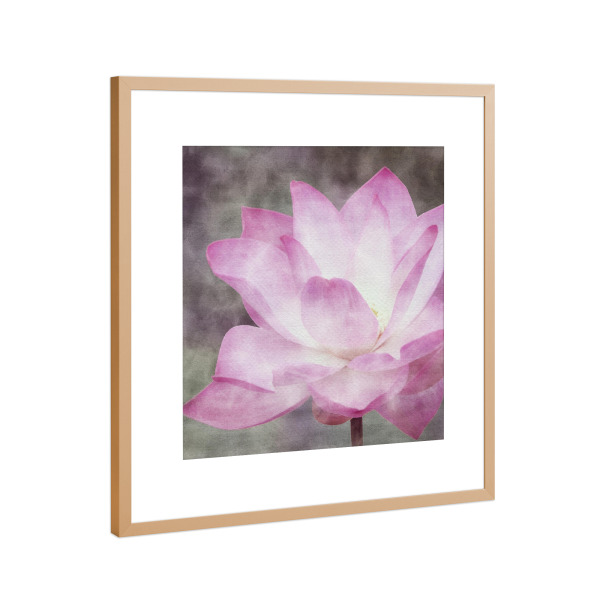 Poster mit Rahmen Kupfer "Rosa Lotusblume" artboxONE - Natur,Floral - Zen,Lotus,Blumen,Blumen