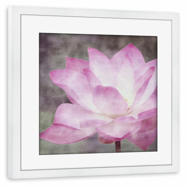 Poster mit Rahmen weiß "Rosa Lotusblume" artboxONE - Natur,Floral - Zen,Lotus,Blumen,Blumen