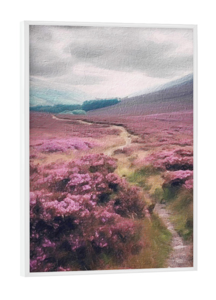 Poster mit weißem Rahmen "Bunter Hochlandpfad" artboxONE - Natur,Floral - Blumen,Blume,Landschaft,Berge,Pfad,Weg,Natur,Hochland