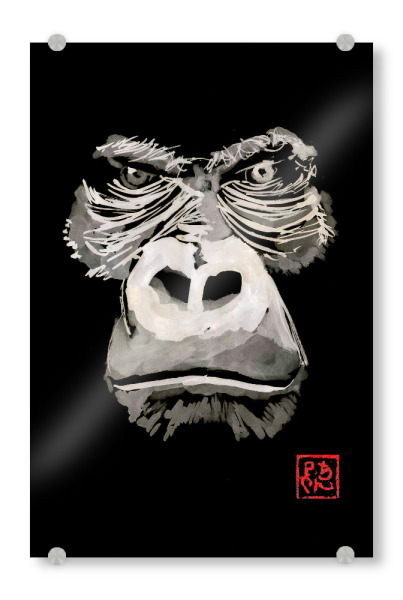 Acrylglasbild "Gorilla in Schwarz" artboxONE - Tiere - Gorilla,Sumie,Japan