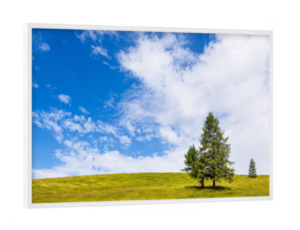 Poster mit weißem Rahmen "Bäume, Blumenwiese, Wolken" artboxONE - Natur,Reise