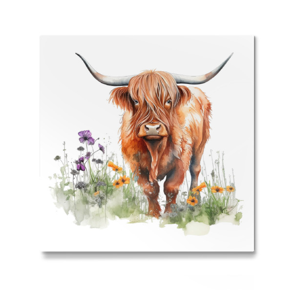 Galerie-Print "Hochlandkuh O" 30x30 cm artboxONE