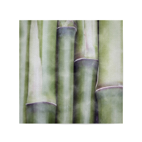 Poster 20x20 cm "Zen-Bambus" artboxONE - Natur - Botanisch,Bambus,Zen