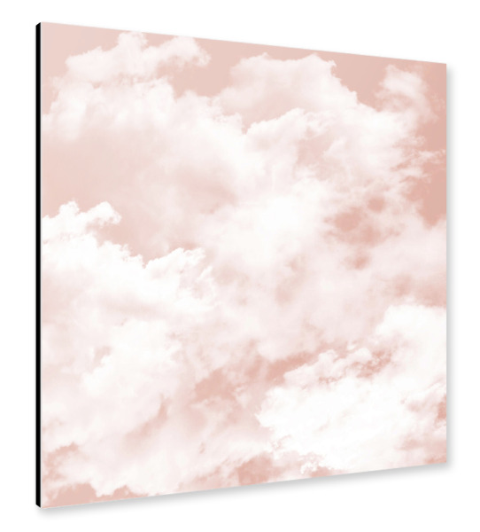 Alu-Dibond "Pfirsiche in der Natur L" 30x30 cm artboxONE