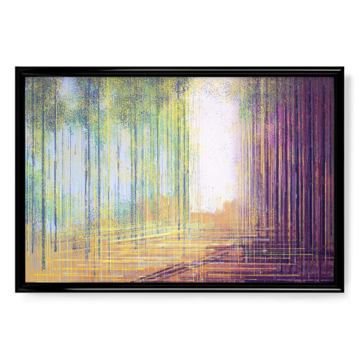 Morning in the Forest Morning in the Forest