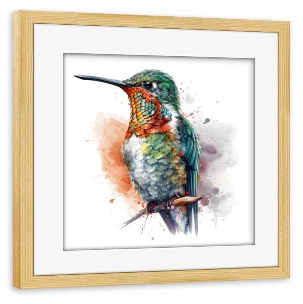 Poster mit Rahmen kiefer "Kolibri A" artboxONE - Tiere - Tiere,Vögel,Kolibri,Bunt,Aquarell