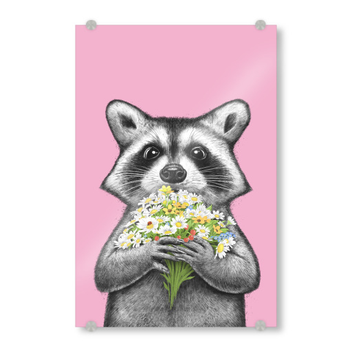Raccoon with daisies
