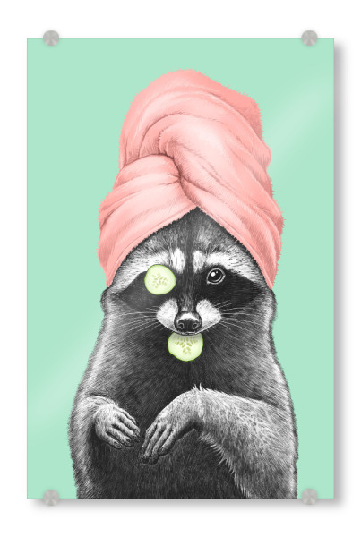 Acrylglasbild "Wellness-Waschbär" artboxONE - Tiere,Fashion,Lustig