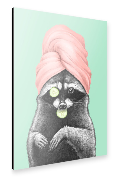 Alu-Dibond "Wellness-Waschbär" 30x20 cm artboxONE