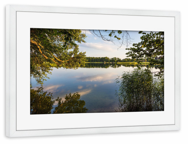 Poster mit Rahmen weiß "Bäume am Schaalsee" artboxONE - Natur,Reise