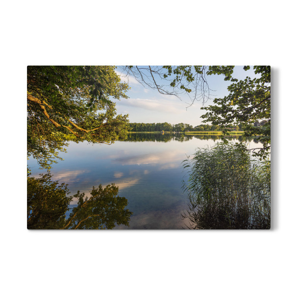 Galerie-Print "Bäume am Schaalsee" 30x20 cm artboxONE