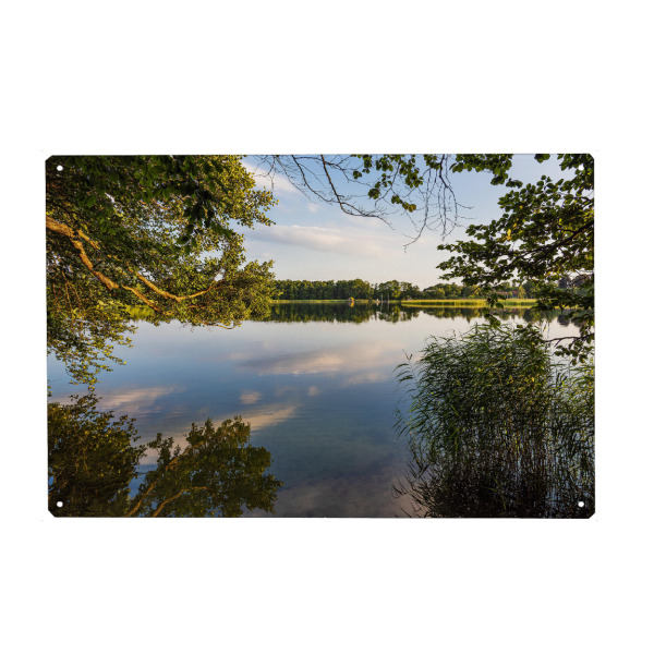 Holzbild "Bäume am Schaalsee" artboxONE - Natur,Reise