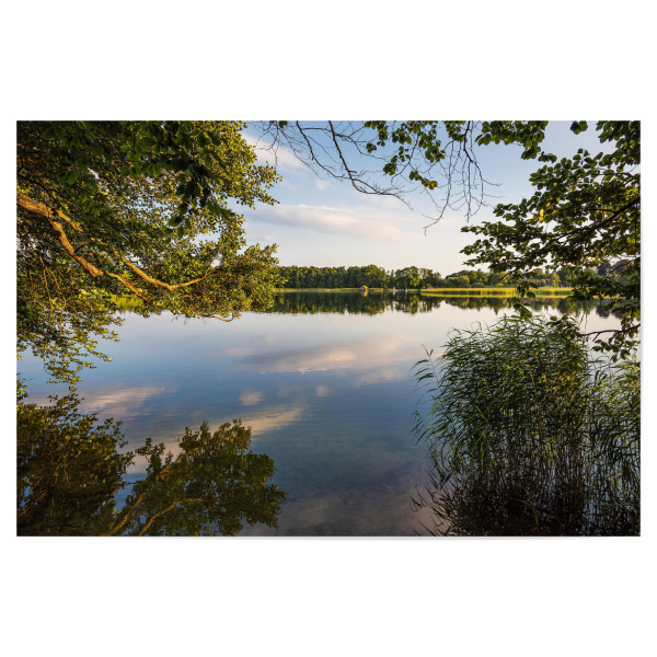 Poster "Bäume am Schaalsee" artboxONE - Natur,Reise