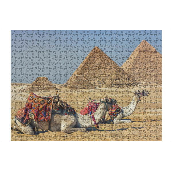 artboxONE Puzzle "Kamel in Gizeh" artboxONE - Reise,Architektur,Reise / Afrika,Reise / Länder,Für Papa