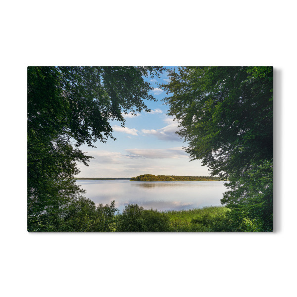 Galerie-Print "Schaalsee und Bäume" 30x20 cm artboxONE