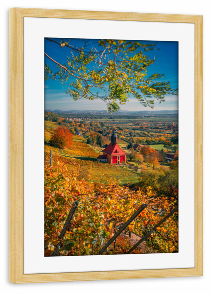 Poster mit Rahmen kiefer "Weinbergkirche Pillnitz" artboxONE - Architektur,Städte / Dresden