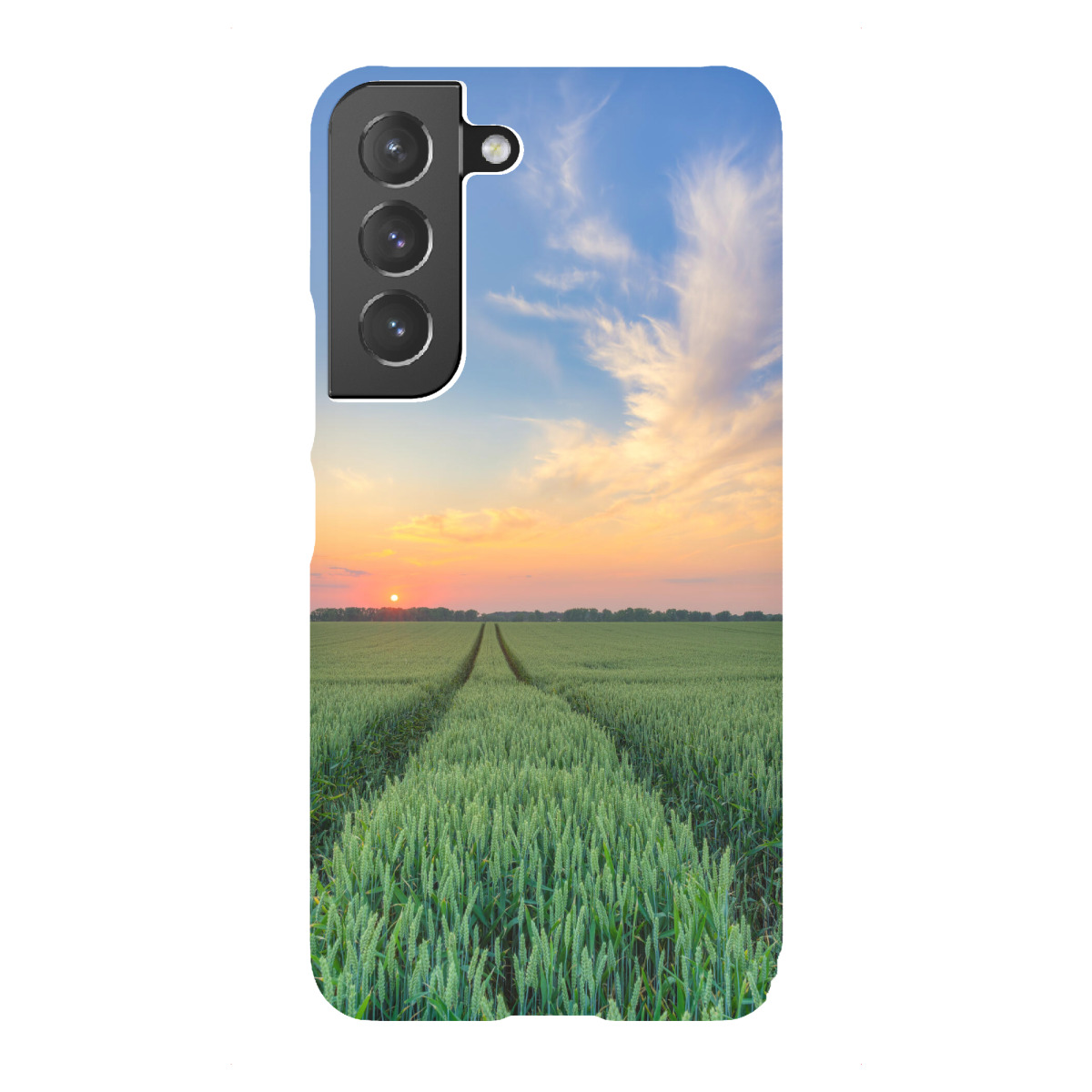 Samsung Galaxy "Weizenfeld bei Sonnenuntergang" Premium-Case Handyhülle artboxONE