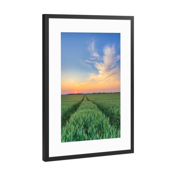 Poster mit Rahmen Schwarz (Metallic) "Weizenfeld bei Sonnenuntergang" artboxONE - Natur,Reise
