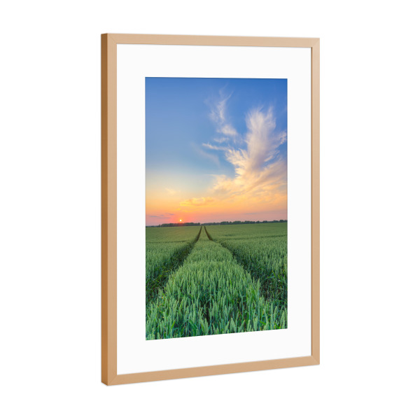 Poster mit Rahmen Kupfer "Weizenfeld bei Sonnenuntergang" artboxONE - Natur,Reise