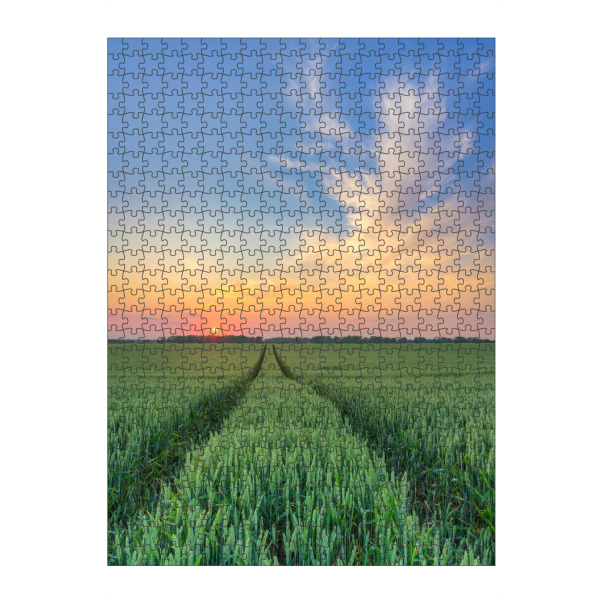 Puzzle Ravensburger "Weizenfeld bei Sonnenuntergang" artboxONE - Natur,Reise