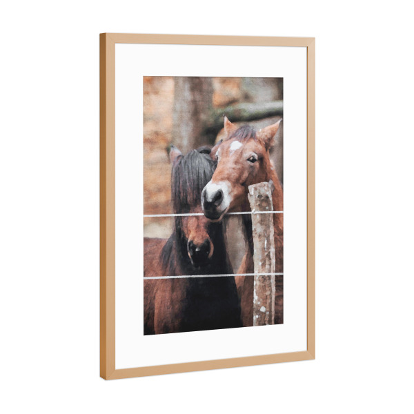 Poster mit Rahmen Kupfer "Braune Pferde" artboxONE - Natur,Tiere - Tiere,Pferde,Natur,Bäume,Wald,Zaun