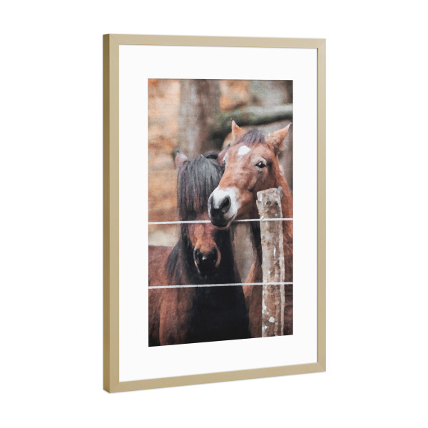 Poster mit Rahmen Gold "Braune Pferde" artboxONE - Natur,Tiere - Tiere,Pferde,Natur,Bäume,Wald,Zaun