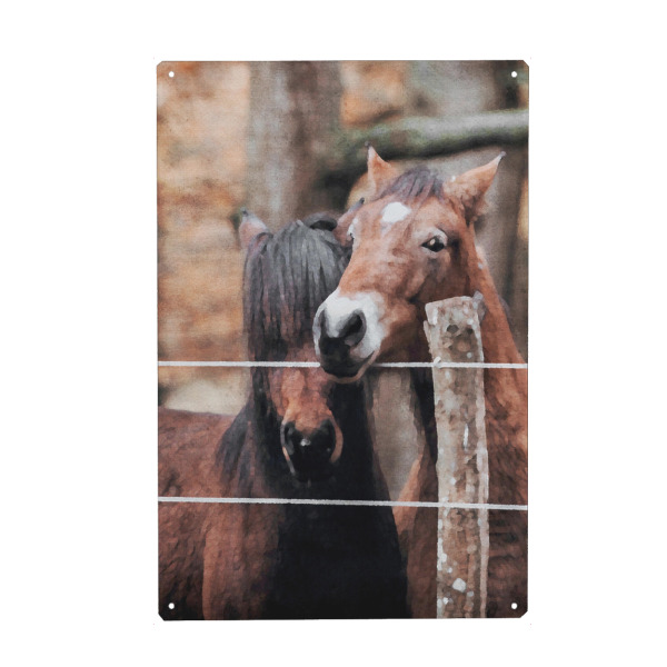 Metall Poster "Braune Pferde" artboxONE - Natur,Tiere - Tiere,Pferde,Natur,Bäume,Wald,Zaun - Blechschild