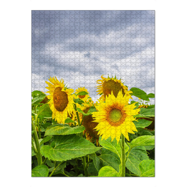 Puzzle Ravensburger "Sonnenblumen und Wolken" artboxONE - Natur