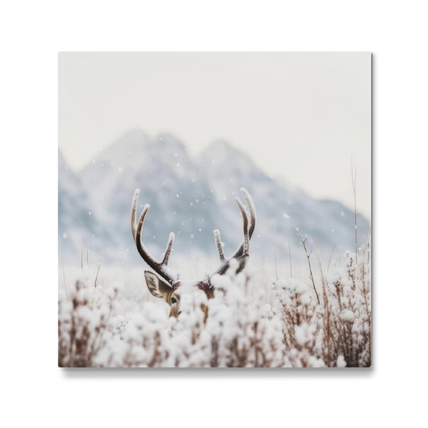 Galerie-Print "Schüchterner Hirsch" 30x30 cm artboxONE