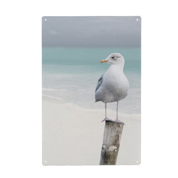 Holzbild "Strandmöwe" artboxONE - Tiere,Reise / Strand und Meer - Tiere,Meereslebewesen,Meereslebewesen,Möwe,Vögel,Strand,Meer,Ufer,Sand