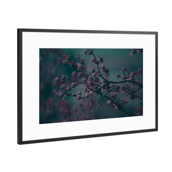 Poster mit Rahmen Schwarz (Metallic) "Frühlingsfarben" artboxONE - Natur,Floral