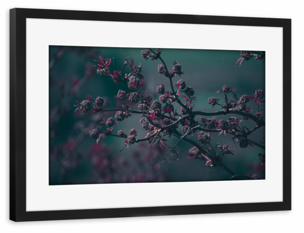 Poster mit Rahmen schwarz "Frühlingsfarben" artboxONE - Natur,Floral