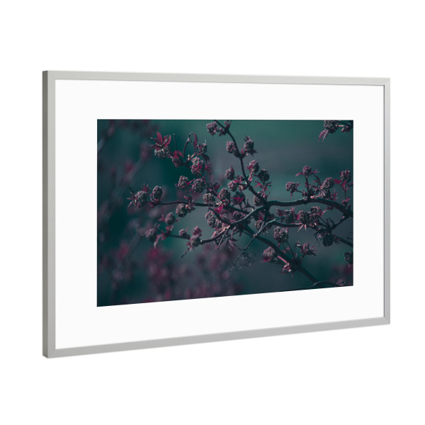 Poster mit Rahmen Silber "Frühlingsfarben" artboxONE - Natur,Floral