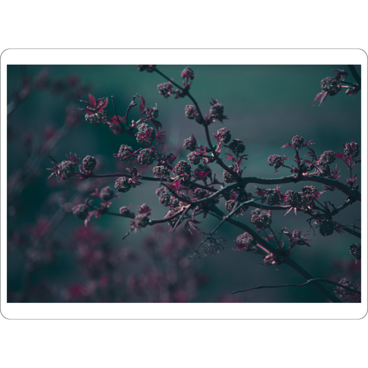 Tischset "Frühlingsfarben" artboxONE - Natur,Floral