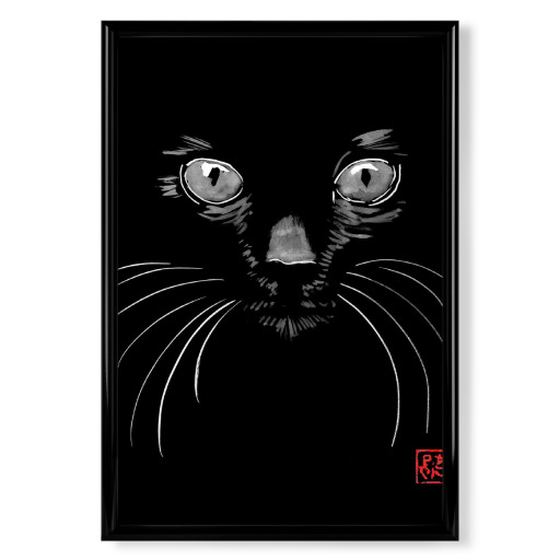 Katze in Schwarz