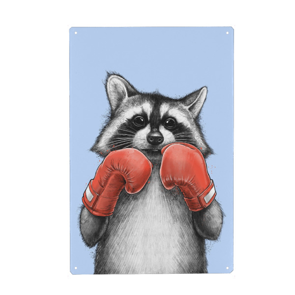 Metall Poster "Waschbär-Boxer" artboxONE - Tiere,Sport,Für Papa
