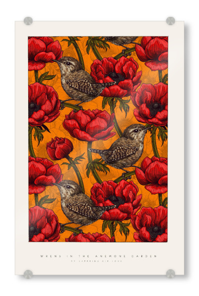 Acrylglasbild "Kirilova - Vögel in Anenomen" artboxONE - Natur,Floral,Tiere - Blume,Blüte,Natur,Botanik,Tropisch,Dschungel,Bunt,Farbenfroh,Vogel,Tier
