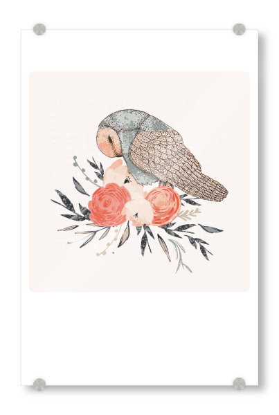 Acrylglasbild "Lisa Dolson - Eule" artboxONE - Natur,Floral,Tiere - Natur,Pflanze,Blumenstrauß,Blüten,Blumen,Botanik,Eule,Tier,Vogel