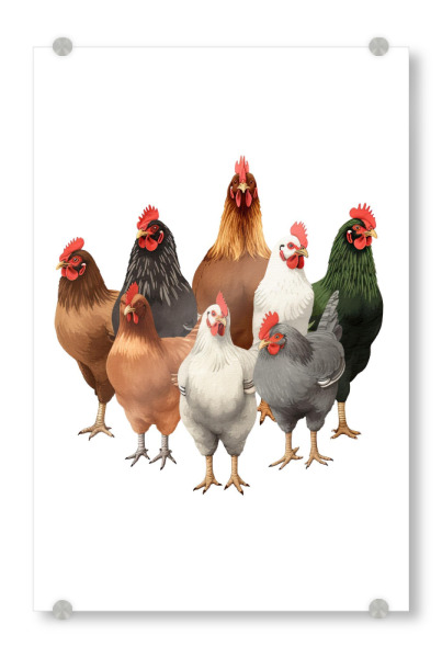 Acrylglasbild "Chicken Coop Decor Farm Artwork" artboxONE - Für Kinder,Tiere,Für Mama,Für Papa,Festivals