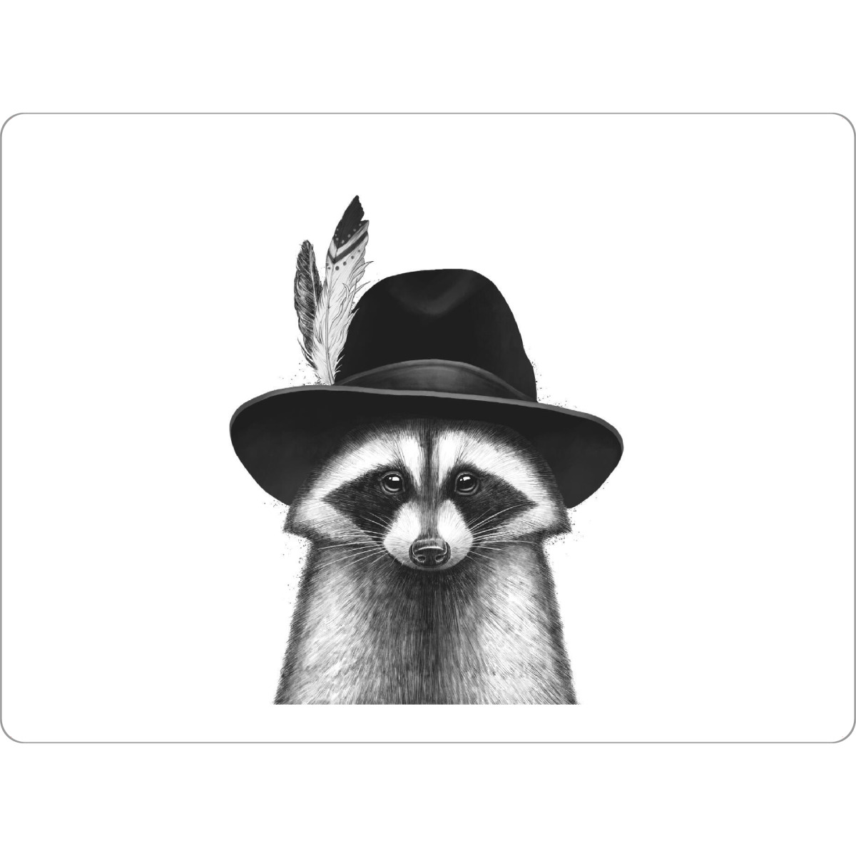 Tischset "Zigeunerwaschbär" artboxONE - Tiere,Fashion