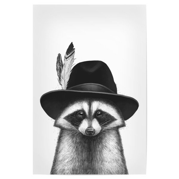 Poster 30x20 cm "Zigeunerwaschbär" artboxONE - Tiere,Fashion