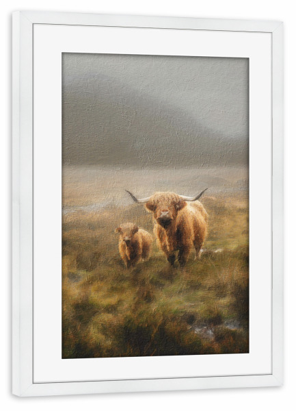 Poster mit Rahmen weiß "Hochlandrinder und Baby" artboxONE - Natur,Tiere - Tiere,Kuh,Hochland,Landschaft,Mutter und baby,Feld,Berg,Natur